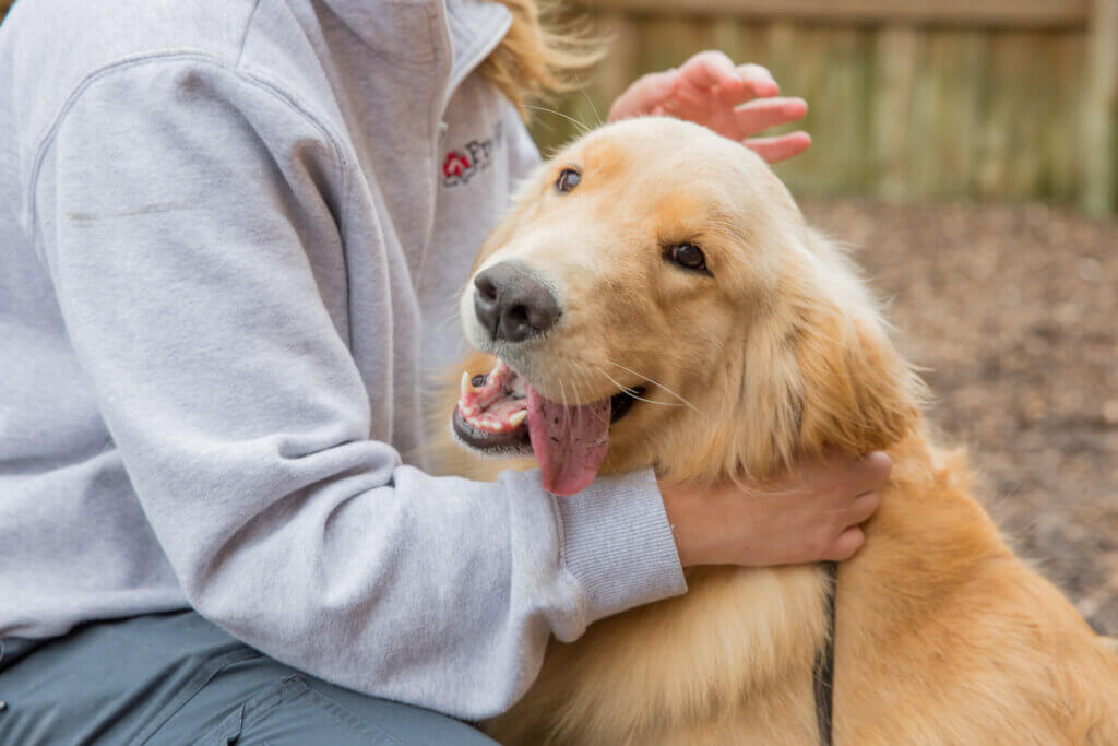 Professional Veterinarians - Excelsior Animal Hospital