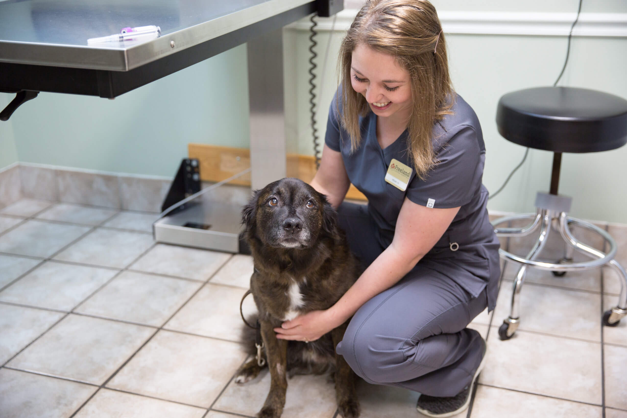 Pet Gallery Excelsior Animal Hospital